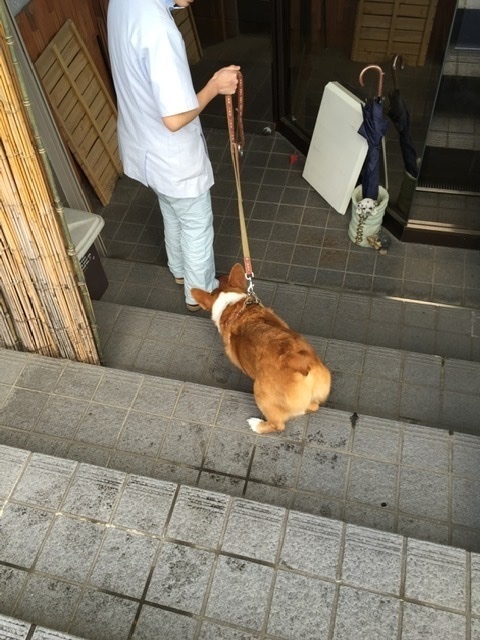 03113097-B919-48B0-92B6-B64EB5EF58B7.jpeg