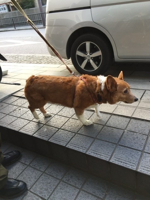 2FE9EBCE-F164-4E4C-B46A-7251BADBF063.jpeg