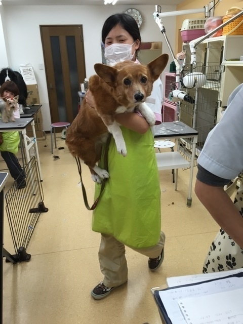 C4D48B6F-61B2-4842-8A2C-14C542E6945E.jpeg