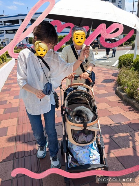 ポンタの雑記帳。
