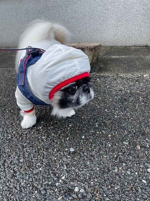 ポンタの雑記帳。